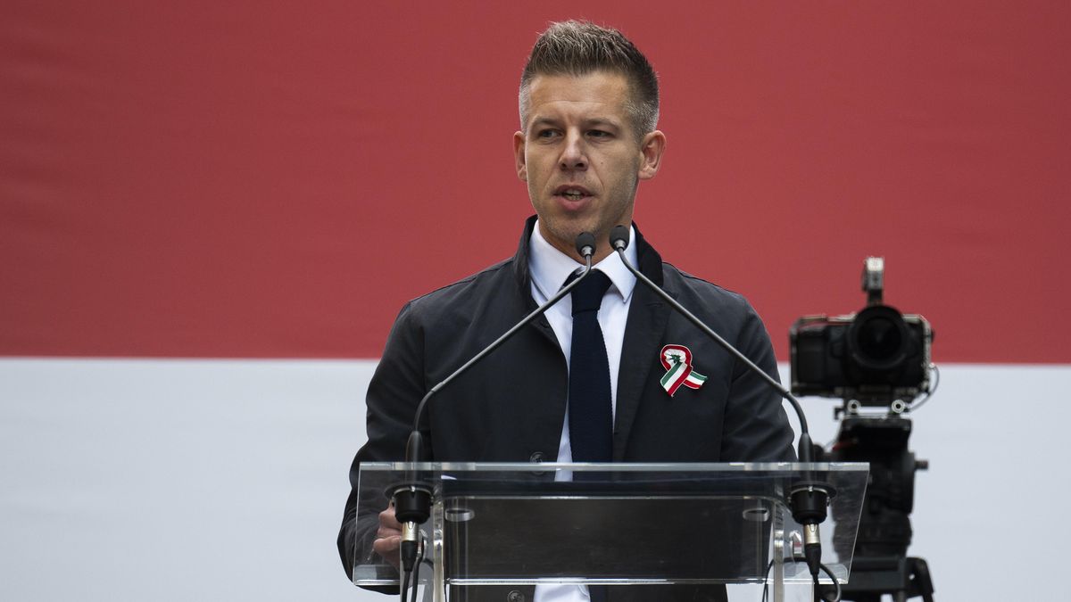 Lídr maďarské opozice Péter Magyar burcoval v novoročním projevu voliče